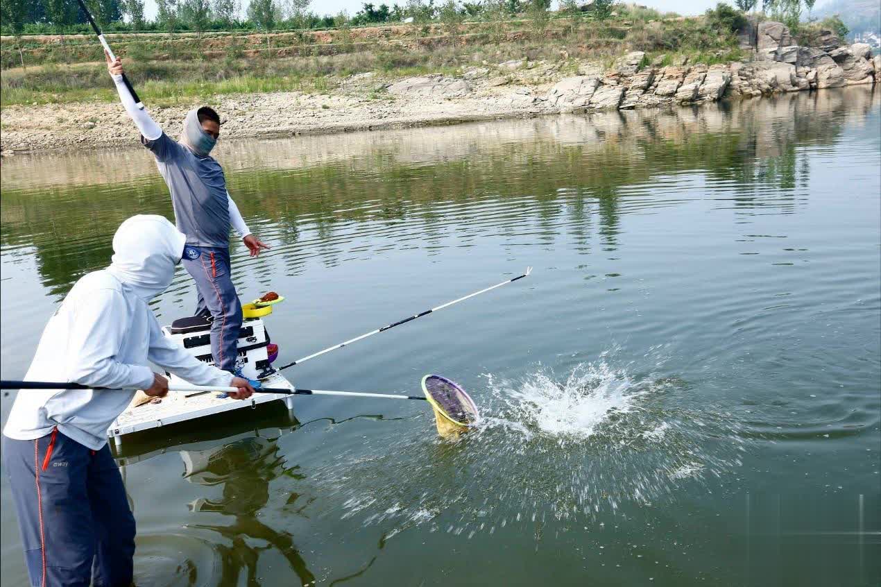 吸引新鱼入 吸引新鱼入