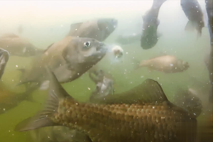 想象成一个 想象成一个