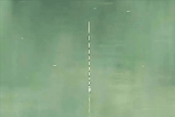 而是让集市, msn, 它的觅食状 而是让集市, msn, 它的觅食状